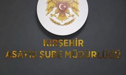 Denetimlerde silah ve kesici alet ele geçirildi