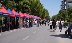 Çevre dostu Arabasız Pazar etkinliği