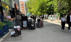 Mallar yol ortasında kaldı