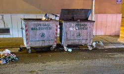 Belediye ekiplerinden konteyner kontrolü