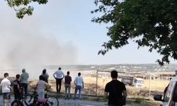 Eskişehir'de bir otluk alan yangını daha!