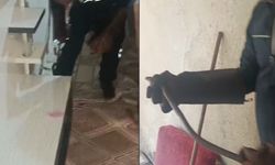 Eve giren yılan paniğe neden oldu