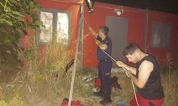 Kuyuya düşen yavru kedi kurtarıldı