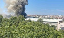 Sünger fabrikasında yangın