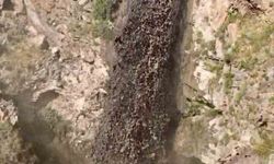 Yamaçlardan çamur şelalesi aktı