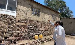 Yılanlar bir evin kabusu oldu