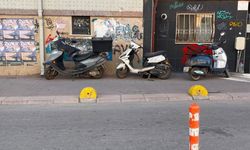 Yaya yolunu işgal ettiler!