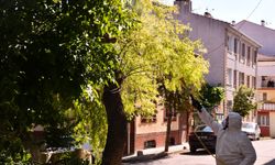Parklar daha sağlıklı yarınlara hazırlanıyor