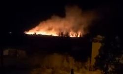 Tarım arazisinde korkutan yangın!