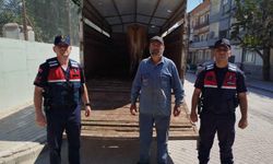 Eskişehir’de çalınan büyükbaş hayvanlardan biri Bilecik’te bulundu