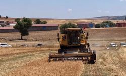 18 yerli nohut çeşidi üreticiyle buluştu