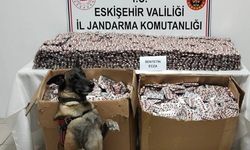 Dev zehir operasyonu: 84 bin hap ele geçirildi