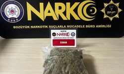 Bilecik'te zehir operasyonu