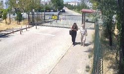 Dolandırıcılık girişimi: 8 yaşındaki torun planı bozdu