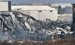 Kimya fabrikasında yangın: 2 işçi yaralandı, 2 at telef oldu