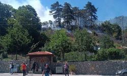 Orman yangınıyla ilgili 1 kişi gözaltında