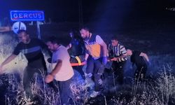 Pikap tarlaya uçtu: 2 yaralı