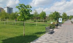 Arslan’dan AK Parti’ye Dede Korkut Parkı sorusu