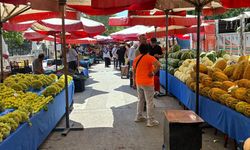 Pazarın şampiyonu o meyve oldu! Kilosu 150 TL