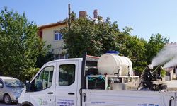 Tepebaşı Belediyesi'nden ilaçlama mesaisi