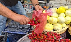 Sonbahar geldi ama pazar tezgahları yazdan kalma