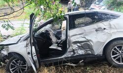 Bilecik-Eskişehir yolunda otomobil şarampole uçtu