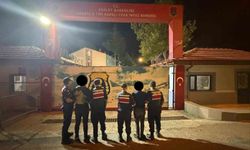 4 büyükbaş hayvan hırsızlığına 2 tutuklama