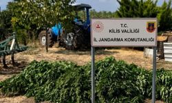40 Kilo kubar esrar ele geçirildi!