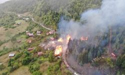 Kastamonu'daki köy yangınında 9 ev küle döndü