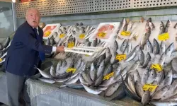 Denizden bol bol çıkıyor: Hamsi ve palamut fiyatları belli oldu