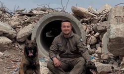 Arama kurtarma köpeklerinden büyük başarı!