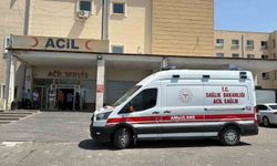 Otomobil şarampole girdi: 3 yaralı