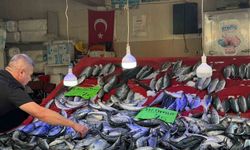 Palamut bereketi: Fiyatı düştü, yüzler güldü