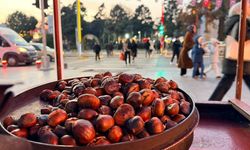 Soğuklar gelmeden kestane tezgaha çıktı