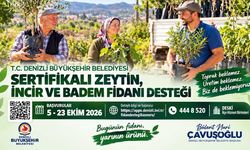 Üreticiye fidan desteği