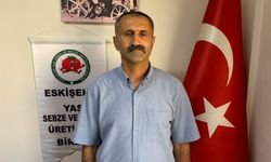 Ürünlerin yarısı tarlada kalacak
