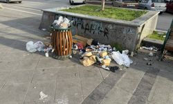 Eskişehir'de Hatboyu bakımsızlığa teslim oldu!