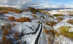 Erzurum ormanlarından görsel şölen