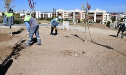 Tepebaşı Bölgesi'ne yeni park