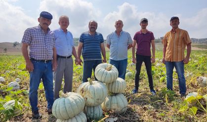 Eskişehir'den Türkiye'nin sofralarına