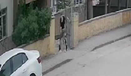 Eskişehir'de 3 ilçede hırsızlık alarmı!