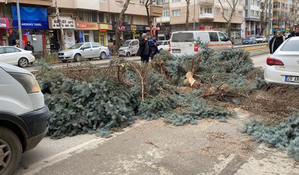 Eskişehir'de fırtına sebebiyle ağaçlar devrildi!