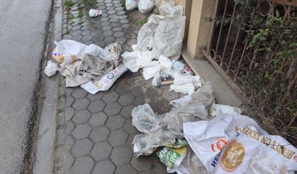 Kaldırım değil çöplük!