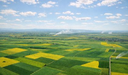 Alpu Termik Santrali için kritik karar!