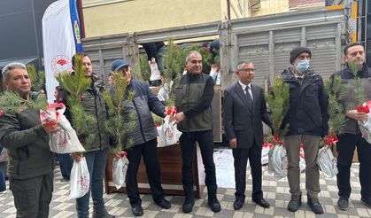 Eskişehir’de ücretsiz fidan dağıtımına yoğun ilgi