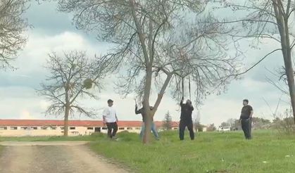 Doğaya zarar tepki çekti