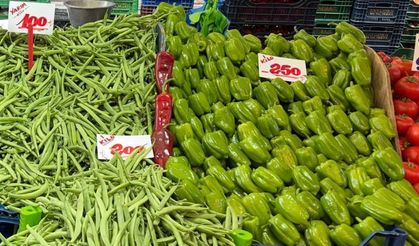 Vatandaş artık dolmada yapamayacak.... Biberin fiyatı adeta cep yakıyor!