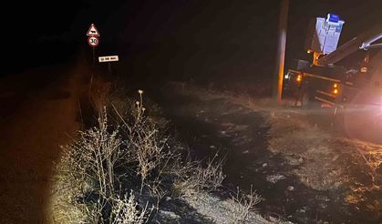 Sivrihisar'da bir kuş yangına sebep oldu