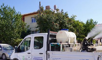 Tepebaşı Belediyesi'nden ilaçlama mesaisi