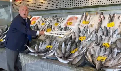 Denizden bol bol çıkıyor: Hamsi ve palamut fiyatları belli oldu